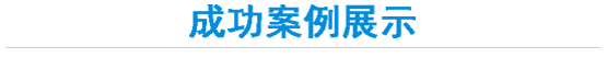 成功案例展示